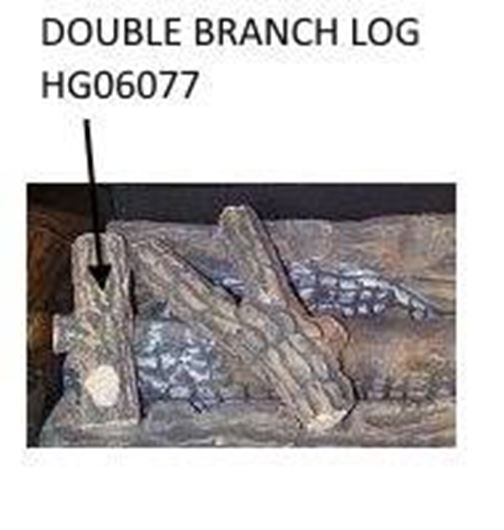 double_branch_log_hg06077